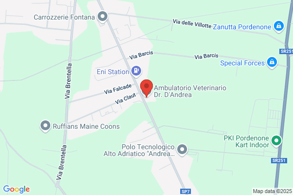 Ambulatorio Veterinario Associato Dr. Scapin Dr. Dandrea