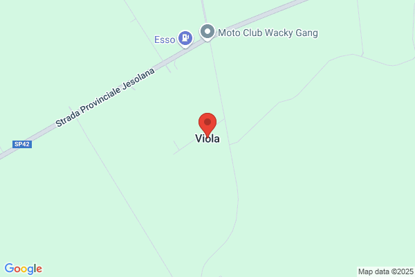 Viola franco (Geom.)