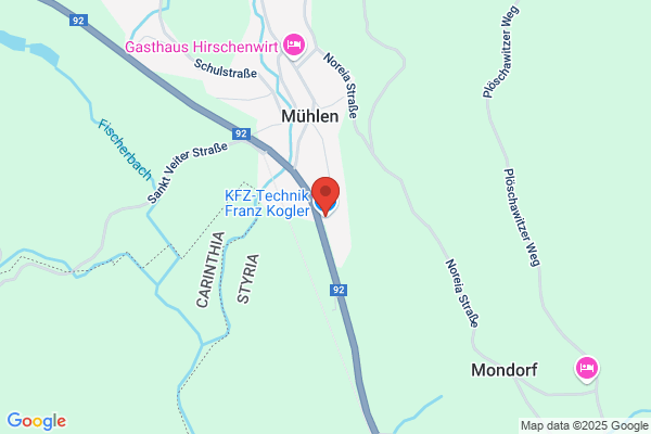 Kogler Franz