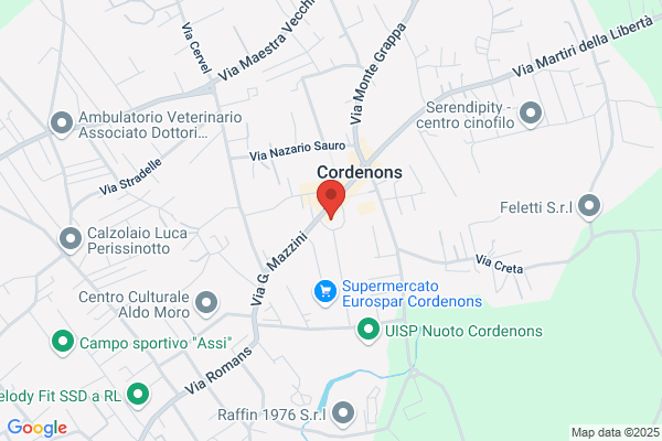 Casonato Geom. Daniele
