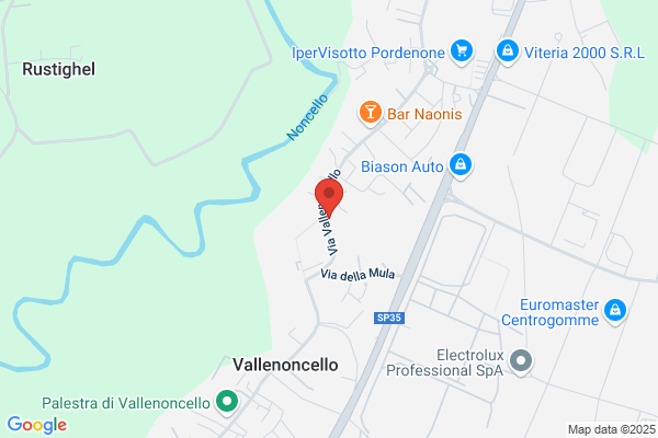 Mir Flor Di Salvador Valerio