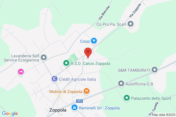 Zanelli gino (Geom.)