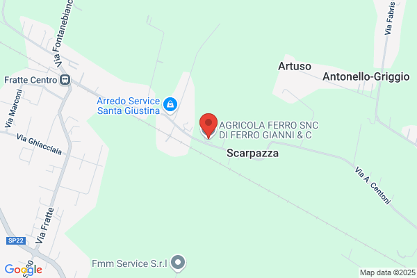 Ferro Gianni