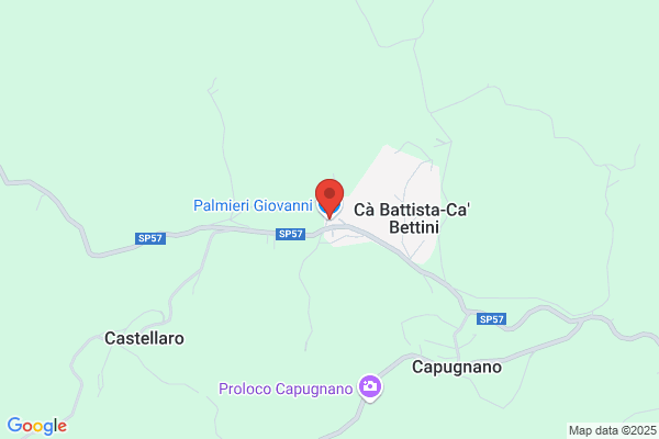 Palmieri giovanni