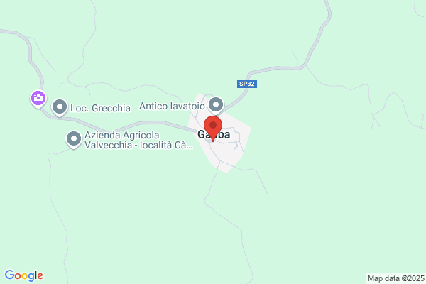 Ristorante Trattoria Picchioni