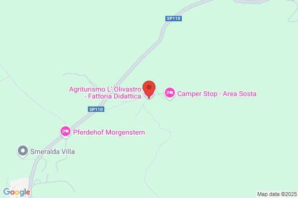 Agriturismo L'Olivastro