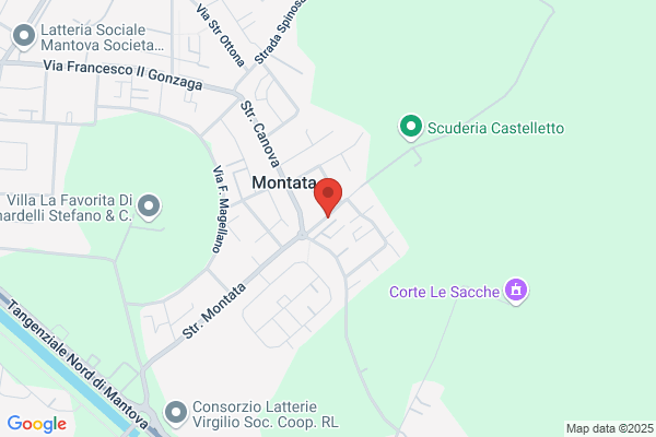 Manzone pierluigi