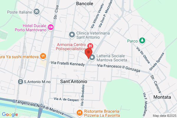 Braghiroli camillo (Dr.)