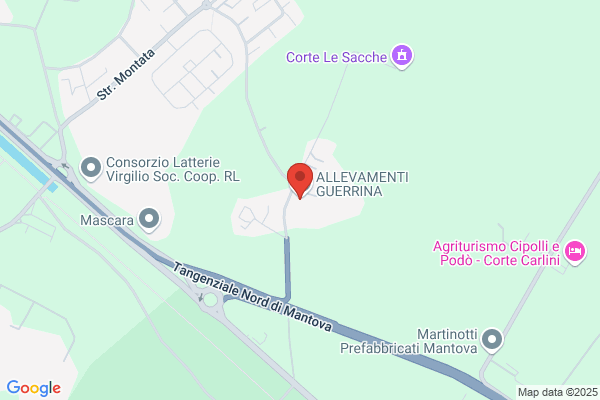 Ettori Fratelli Enea & Giovanni