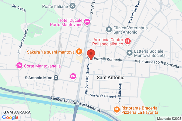 Fontanesi Gloria