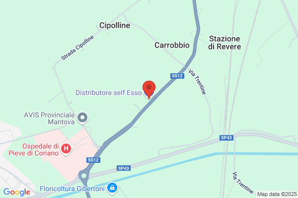 Esso San Giorgio Di Mantova