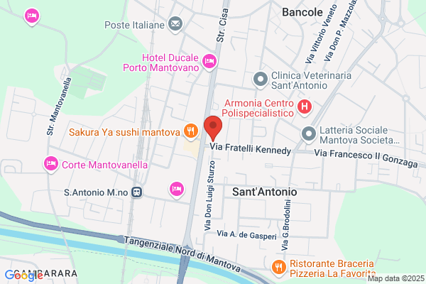 Scuola Media