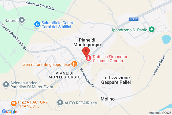 Palmieri vittorio