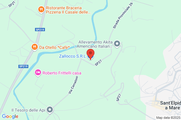 Zallocco alberto