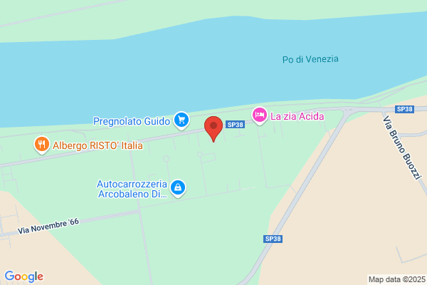 Istituto Coop. Di Vigilanza