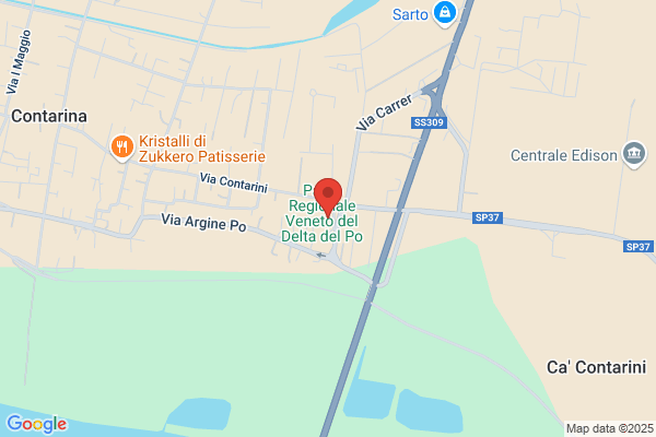 Mercuri valentino (Dr.)