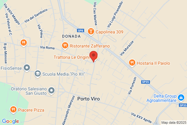 Trevisan paolo