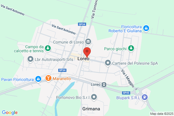 Euro Pizza