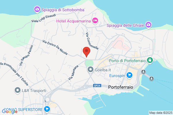 Fiori E Piante Campani