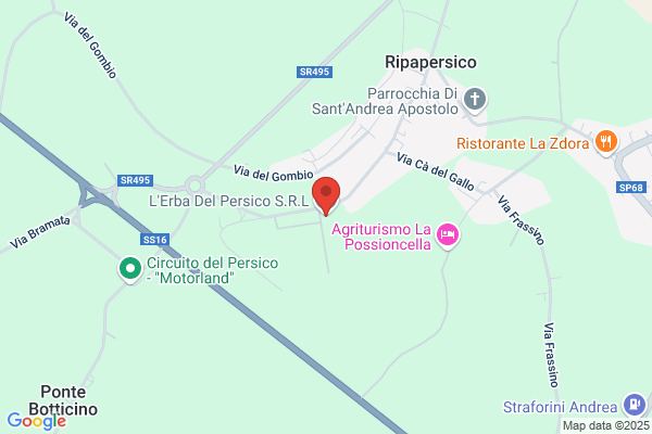 Lerba Del Persico S.R.L.