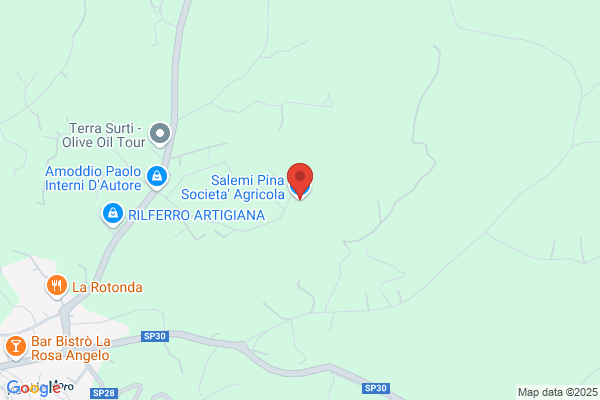 Salemi Pina Societa' Agricola