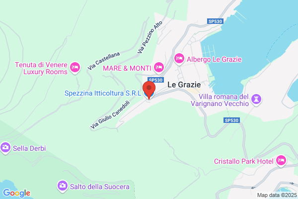 Spezzina Itticoltura Srl