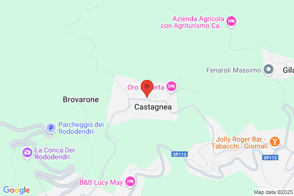 Passuello barbara (Geom.)