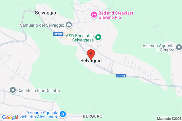 Selvaggio gian Luigi