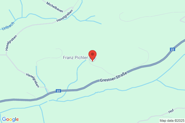 Pichler franz