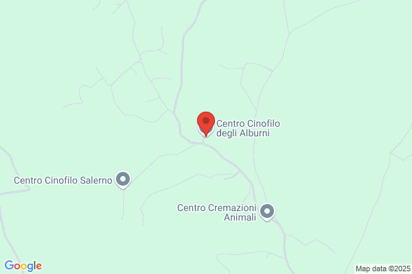 Centro Cinofilo degli Alburni