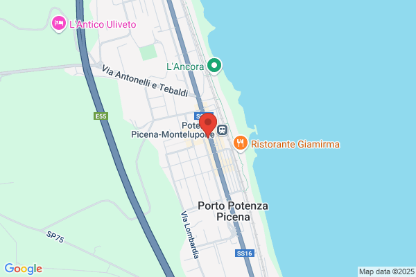 Il Frutto Della Vite Di Sacconi Silvia