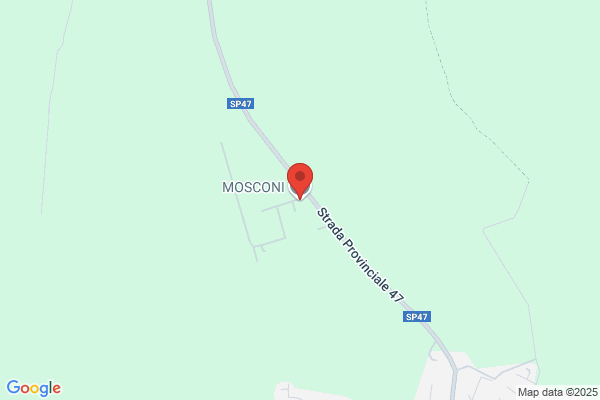 Mosconi roberto
