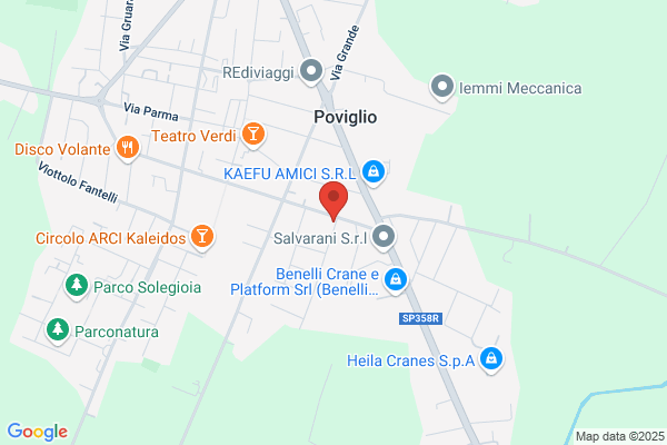 Panella dante