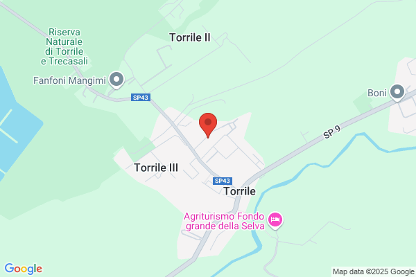 Conti Gianni