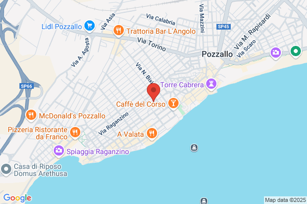 Zocco giselda (Dr.)