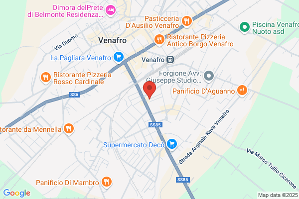 Italia Pulita Srl