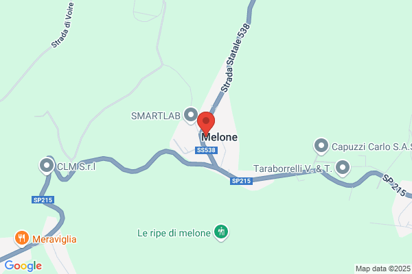 Melone armando (Cav.)
