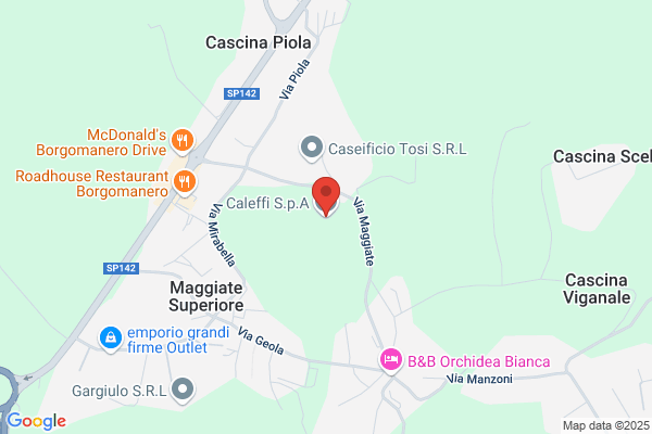 Caleffi alberto
