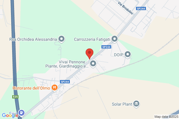Forlini Stefano
