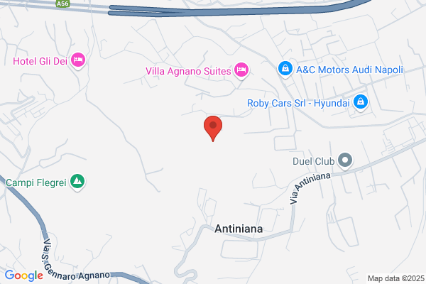 Campi Elisi Srl