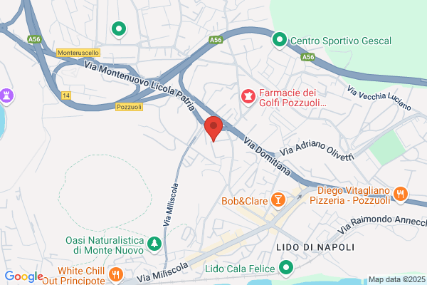 Vmc Veterinary Medical Center Srl