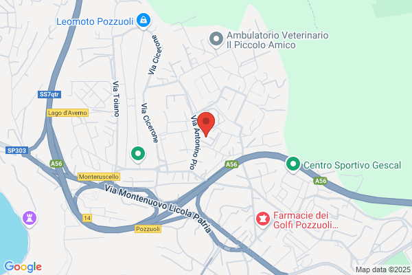 Scuole Pubbliche