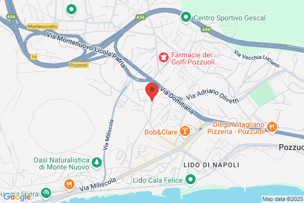Pollice saverio (Avv.)
