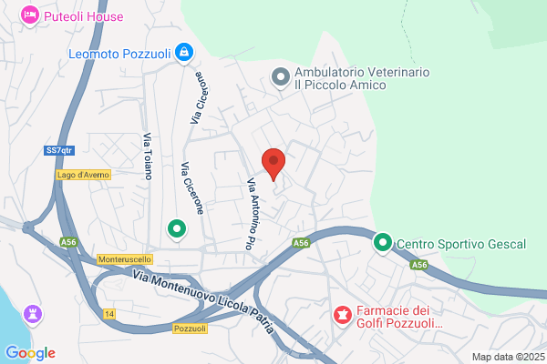 Municipio