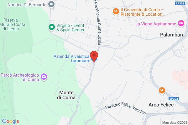Azienda Vivaistica Tammaro