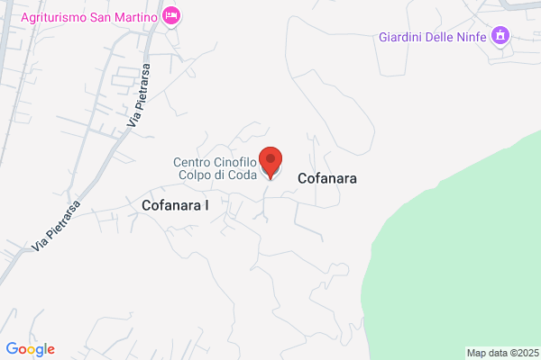 Colpo di Coda ASD