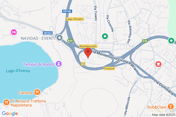 Istituto Di Vigilanza Privata L'aquila Srl