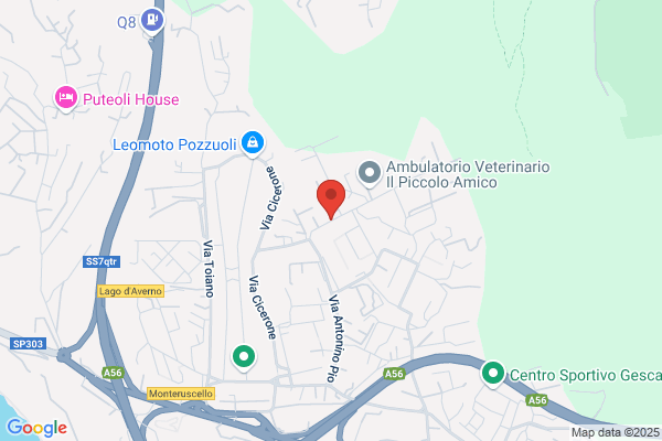 Dipiudi Ambiente Spa