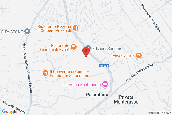 P.M.S. Meridiona S.A.S. Di Amoroso Renato & c.