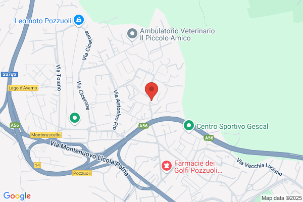 Supermercato Senese Di Senese Cristoforo